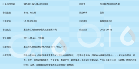 重慶樂透商務 助力企業決策的專業信息咨詢服務解析